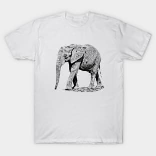 African elephant T-Shirt